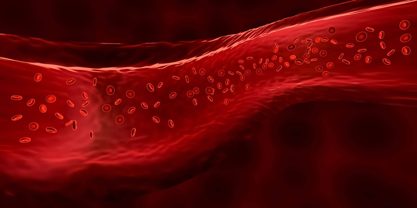 The Complete Guide to Nitric Oxide for Athletes